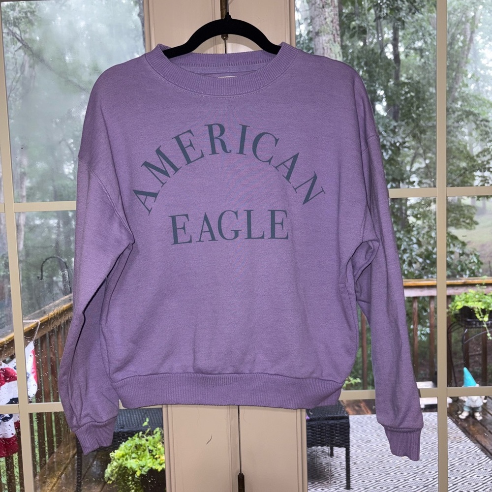 American Eagle Outfitters Purple Long Sleeve Boxy Hoodie